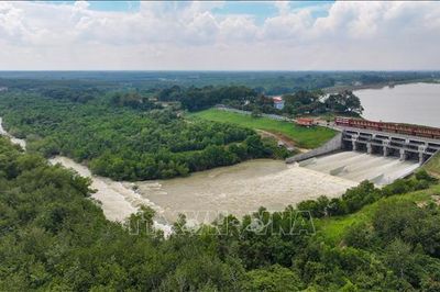 Hành lang thoát lũ hồ Dầu Tiếng bị 'bóp nghẹt'