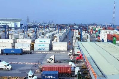 VASEP kiến nghị phát triển đội tàu container lạnh của Việt Nam