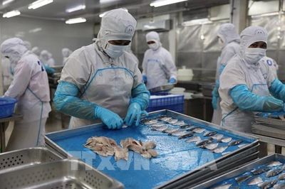 Kinh tế nhà nước TP. Hồ Chí Minh: Chuyển từ quy mô sang hiệu quả