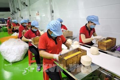 Tháo nút thắt tài chính cho nông sản Vĩnh Long