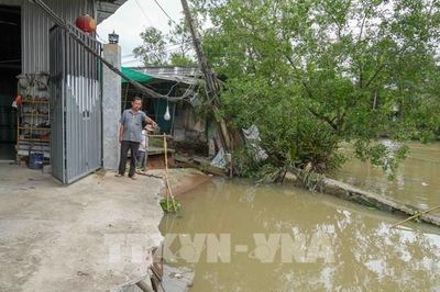 Sạt lở 'nuốt' đường, đe dọa chợ và trường học tại Cần Thơ