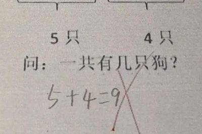 Bài toán '5 + 4 = 9' bị cô giáo gạch sai, đán án chính xác khiến nhiều người bất ngờ