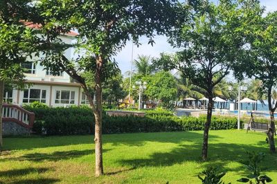 Sửa Luật Kiến trúc: Mọi không gian công cộng phải bảo đảm quyền tiếp cận bình đẳng