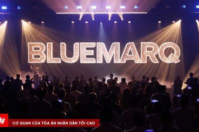 Bluemarq Group: Chi phí tăng mạnh, lợi nhuận lao dốc