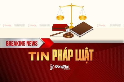 Triệt phá đường dây ma túy, thu giữ hơn nửa kg ma túy
