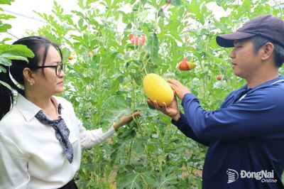 Long Khánh chú trọng phát triển nông nghiệp đô thị