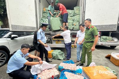 Bắt quả tang xe tải vận chuyển gần 17 tấn thực phẩm đông lạnh không rõ nguồn gốc