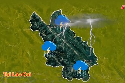 Dự báo thời tiết ngày 1/8