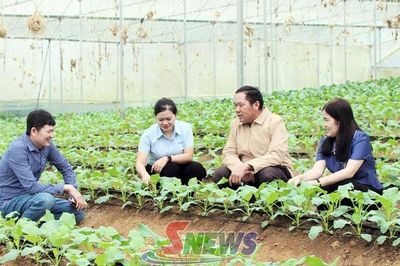 Đất khỏe thì cây khỏe