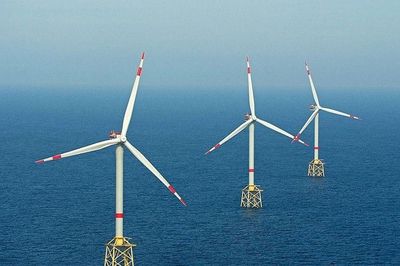 Siết vốn chủ sở hữu 20% với điện gió ngoài khơi: Lời giải cho bài toán dự án 'xí phần' và bảo vệ tài nguyên biển
