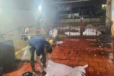 Không để thực phẩm bẩn len lỏi vào bữa ăn: Công an Hà Nội quyết liệt xử lý vi phạm