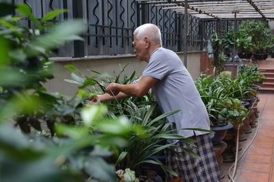 Đón ngày mới với thú vui cây cảnh