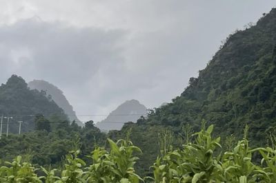 Thời tiết các khu vực trong tỉnh ngày 2/8, có mưa rào nhẹ và dông vài nơi