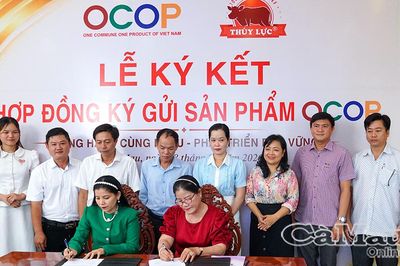 Lực đẩy tăng trưởng bền vững
