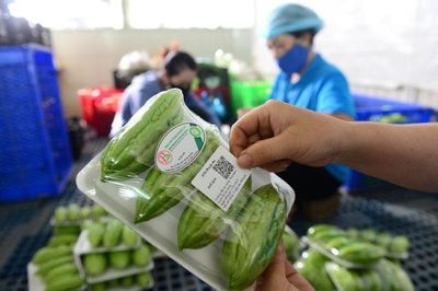 Đơn giản thủ tục cấp mã số vùng trồng, cơ sở đóng gói