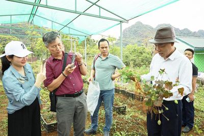 Phúc Sơn: 'Xanh hóa' các động lực tăng trưởng