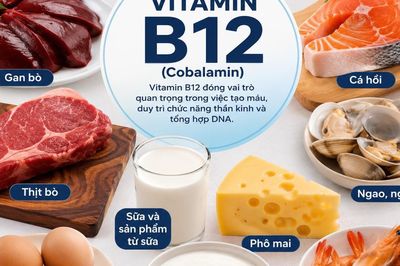 Bổ sung vitamin B12 và sắt có tác dụng gì?