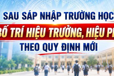 Sau sáp nhập trường học, bố trí hiệu trưởng, hiệu phó theo quy định mới