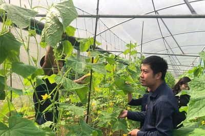 Hà Nội đặt mục tiêu đào tạo 10.000 nông dân làm chủ công nghệ số