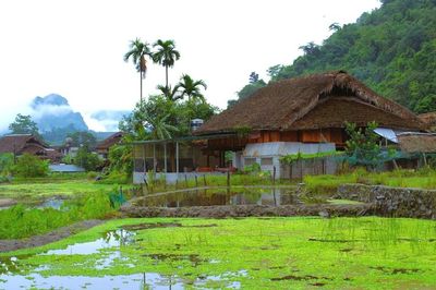 Thôn Tha - Làng du lịch cộng đồng tốt nhất năm 2025:Bài 1: Thôn Tha - bình yên dưới những tầng mây