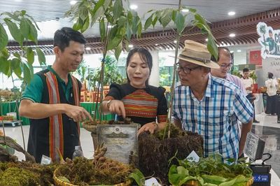 Khai mở hành trình đưa sâm Ngọc linh vươn tầm thế giới