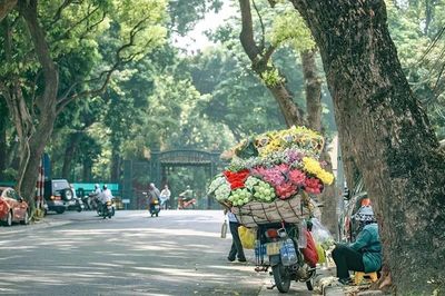 Thu Hà Nội
