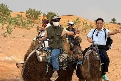 Dải lụa xanh giữa sa mạc Sahara
