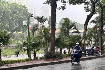Thời tiết ngày 2/8: Bắc Bộ ngày nắng, chiều và đêm có lúc có mưa rào