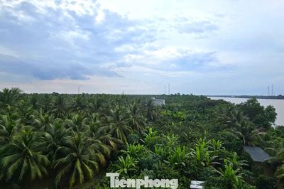 Xem xét trách nhiệm nguyên Phó Chủ tịch tỉnh Bến Tre cũ vì giao đất sai