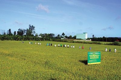 An ninh năng lượng - Nền tảng bảo đảm an ninh lương thực và ổn định kinh tế