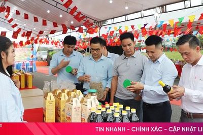 Hà Tĩnh tổ chức hội nghị kết nối giao thương Bắc Trung Bộ