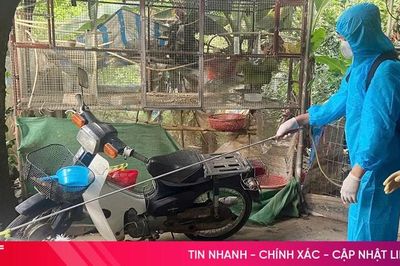 Hà Tĩnh siết chặt công tác phòng, chống dịch cúm gia cầm H5N1