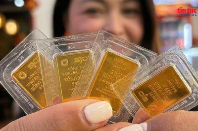 Giá vàng sáng 2/8 ổn định, chính sách quản lý tiếp tục được siết chặt