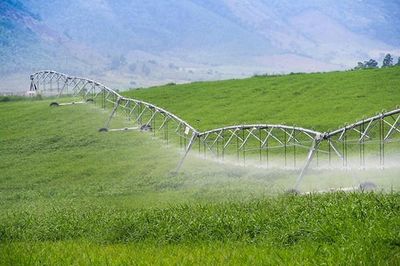 Xung đột Trung Đông ngày càng gây sức ép lên lĩnh vực nông nghiệp