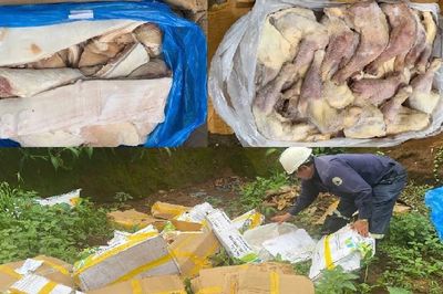 Tiêu hủy gần 1 tấn thịt lợn, đùi gà đông lạnh không rõ nguồn gốc