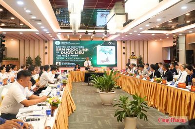 Tìm lời giải đưa Sâm Ngọc Linh thành thương hiệu toàn cầu