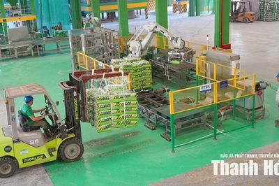 Sẵn sàng nguồn cung phân bón cho vụ thu mùa
