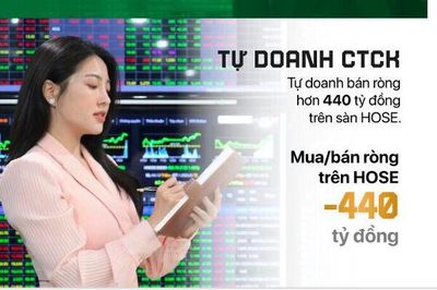 [Infographic] Hơn 900 mã giảm giá trong tháng, khối ngoại bán ròng 12.000 tỷ đồng