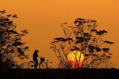 Đường làng một thuở