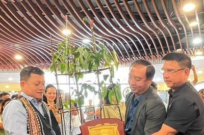 Một củ sâm Ngọc Linh trên 35 tuổi đấu giá thành công 725 triệu đồng