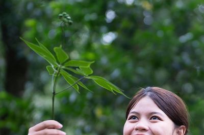 Đỉnh Ngọc Linh và những người giữ sâm