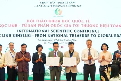 Đà Nẵng mở rộng hợp tác quốc tế, hình thành chuỗi giá trị sâm Ngọc Linh