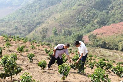 Điểm tựa của bản làng