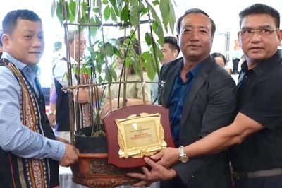 Trường Sinh Group đấu giá thành công cây Sâm Ngọc Linh 35 năm tuổi