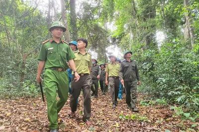 Biến giá trị rừng thành nguồn lực phát triển kinh tế xanh
