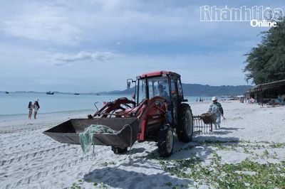Phường Đông Ninh Hòa: Chú trọng giữ gìn môi trường biển