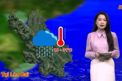 Dự báo thời tiết đêm 2 và ngày 3/8