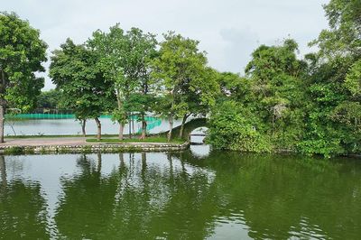 Hồ Truyền Thống - Lá phổi xanh giữa lòng đô thị