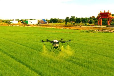 Chuyển mình cùng nông nghiệp xanh
