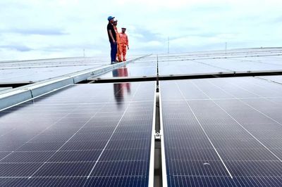 Điện mặt trời mái nhà: Từ khoản tiết kiệm đến 'tấm hộ chiếu xanh' của doanh nghiệp